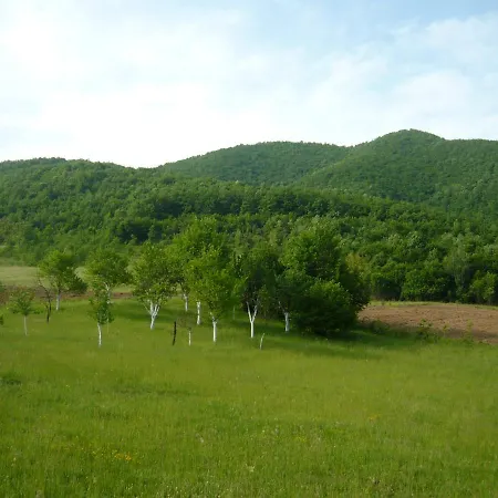 Pure Nature Feriehus